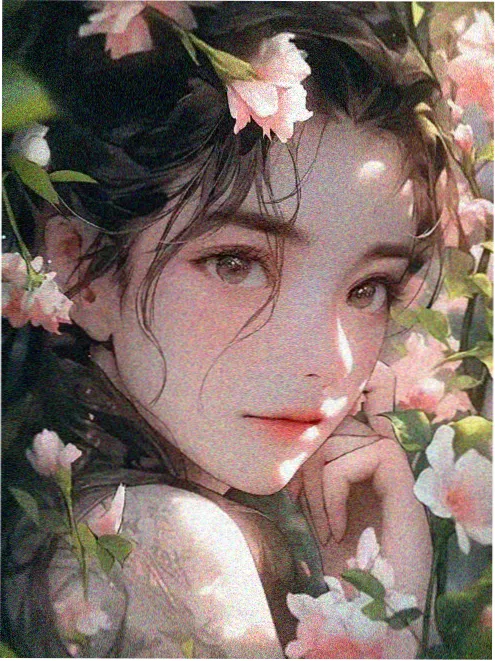 第七码头在线看